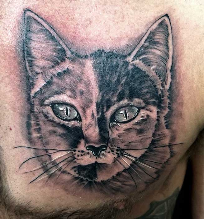 realistic-cat-tattoo